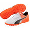 Puma EvoSpeed 5.5 Junior Turf Shoe