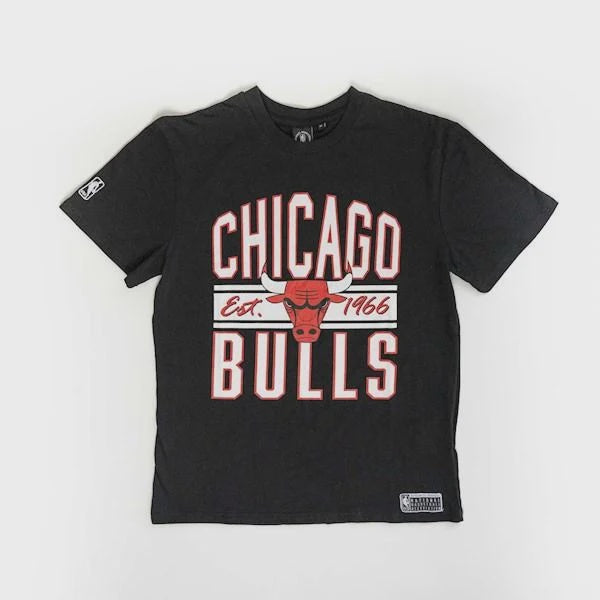 NBA Essentials Youth Oakville Vintage Tee - Chicago Bulls