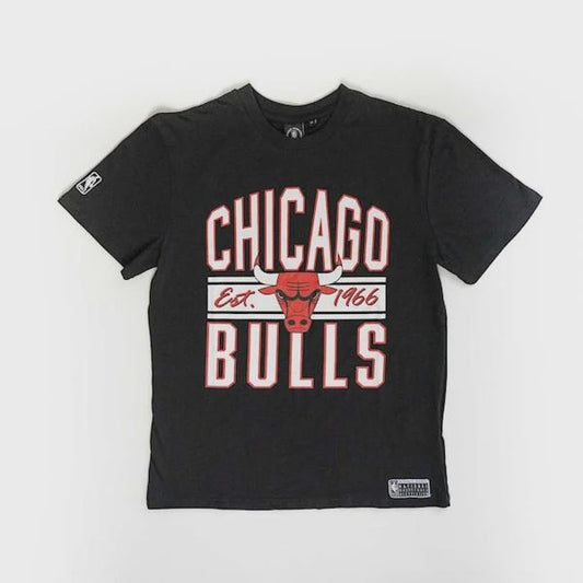NBA Essentials Youth Oakville Vintage Tee - Chicago Bulls