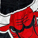 NBA Essentials Mens Shelton Mesh Short - Chicago Bulls