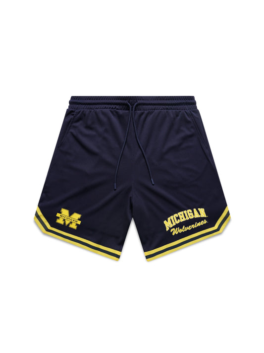 NCAA Team Logo Mesh Shorts - Michigan Wolverines