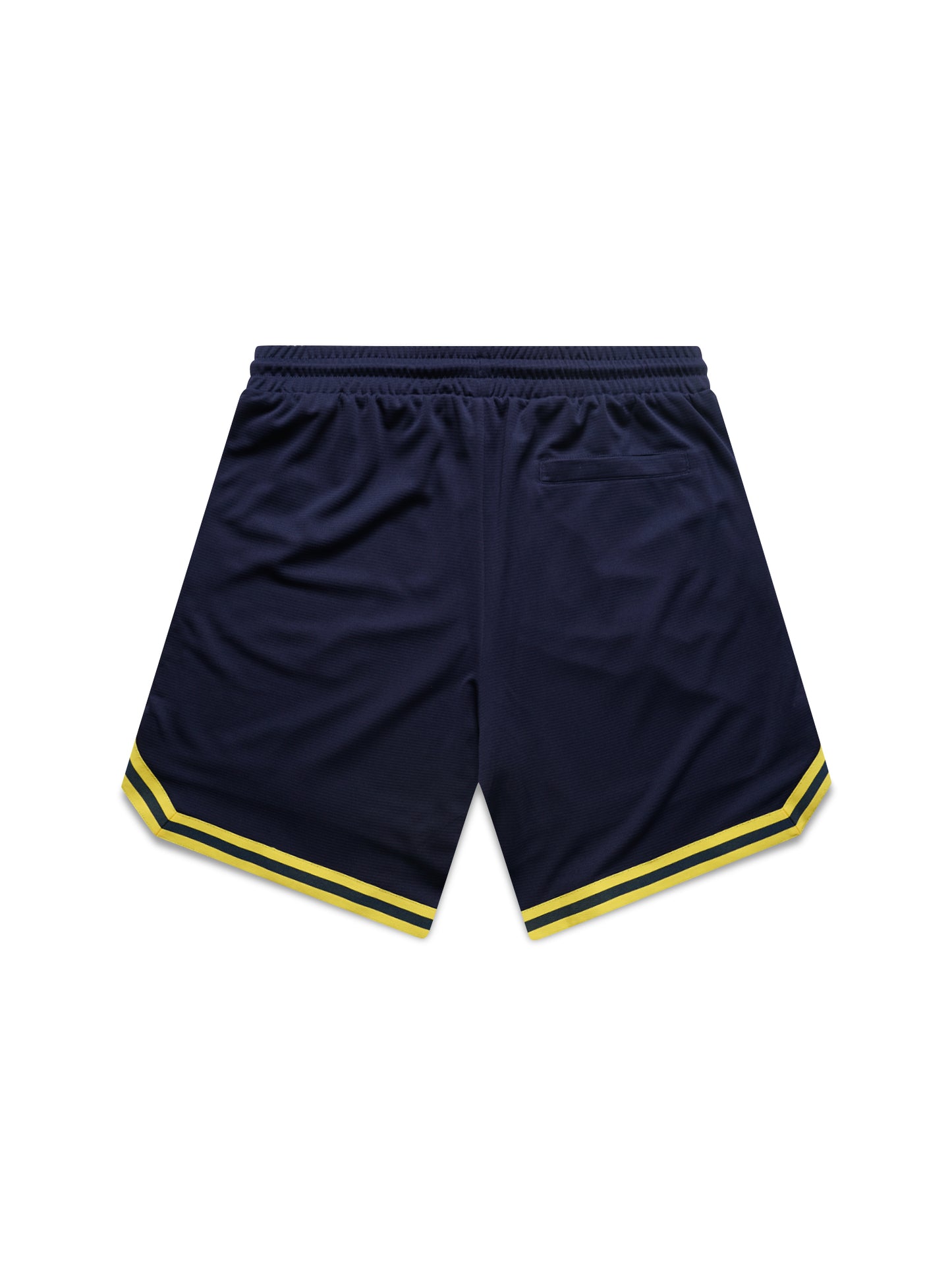 NCAA Team Logo Mesh Shorts - Michigan Wolverines