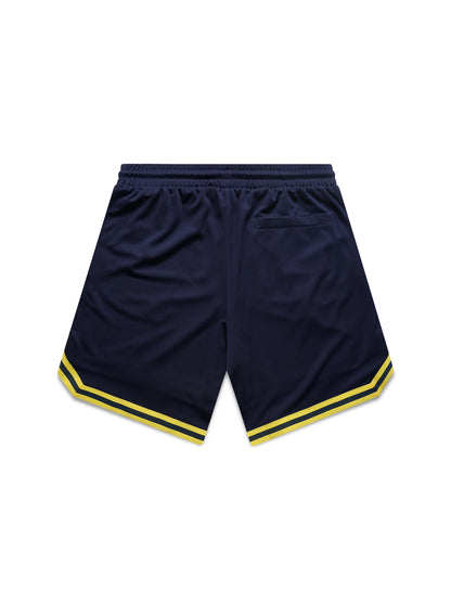 NCAA Team Logo Mesh Shorts - Michigan Wolverines