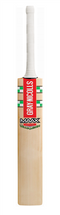 Gray Nicolls Maax Kane Williamson Ready Play Bat - Junior