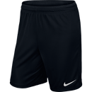 Nike Youth Park Shorts- Black