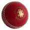 Gray Nicolls Wonderball Cricket Ball